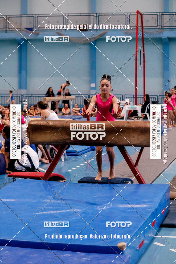 Buy your photos of the event2 Copa Estadual de Ginstica Artstica on Fotop