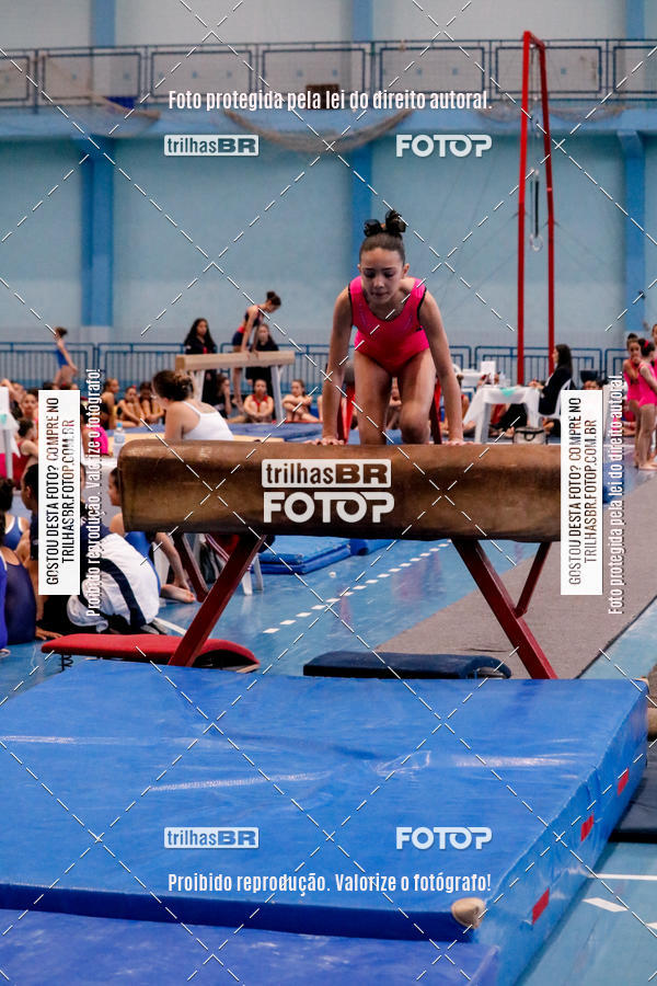 Buy your photos of the event2 Copa Estadual de Ginstica Artstica on Fotop