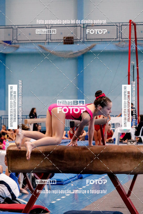 Buy your photos of the event2 Copa Estadual de Ginstica Artstica on Fotop