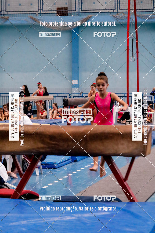 Buy your photos of the event2 Copa Estadual de Ginstica Artstica on Fotop