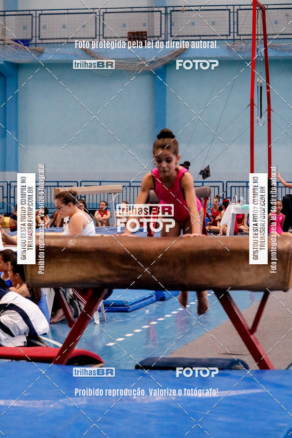 Buy your photos of the event2 Copa Estadual de Ginstica Artstica on Fotop