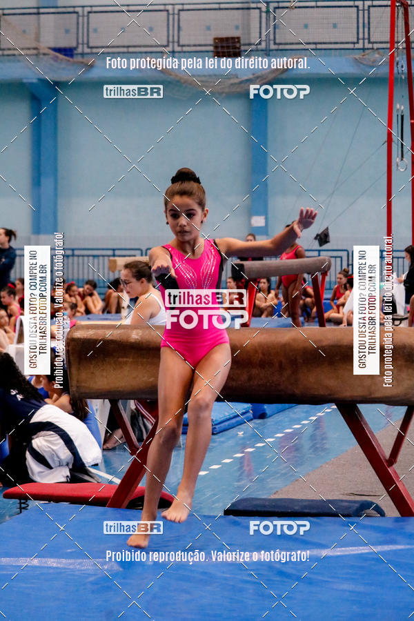 Buy your photos of the event2 Copa Estadual de Ginstica Artstica on Fotop