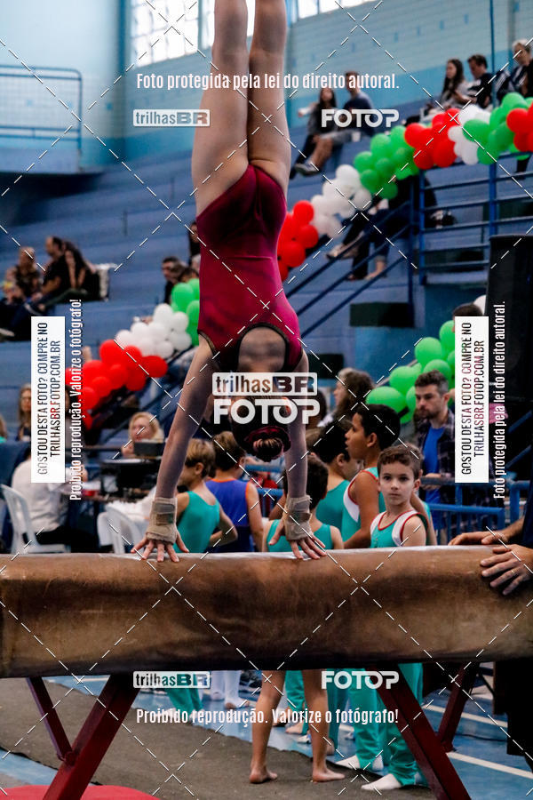 Buy your photos of the event2 Copa Estadual de Ginstica Artstica on Fotop