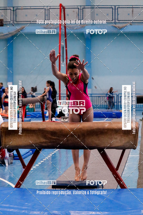 Buy your photos of the event2 Copa Estadual de Ginstica Artstica on Fotop