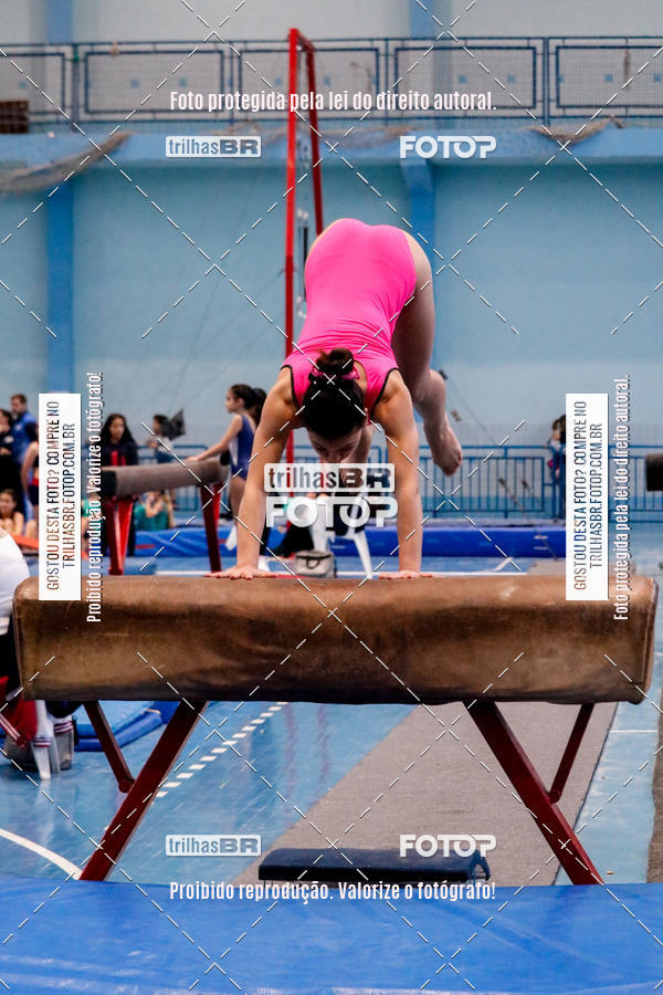 Buy your photos of the event2 Copa Estadual de Ginstica Artstica on Fotop