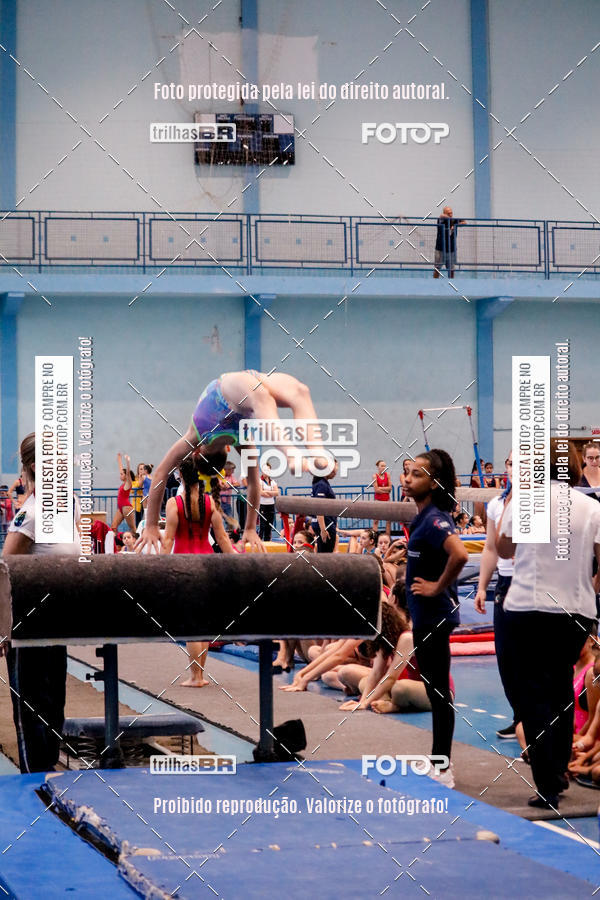Buy your photos of the event2 Copa Estadual de Ginstica Artstica on Fotop