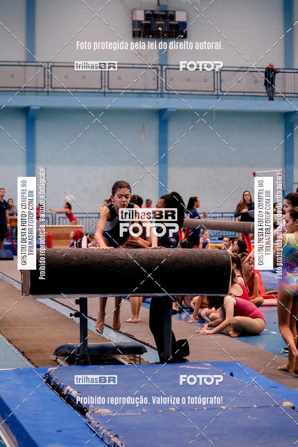 Buy your photos of the event2 Copa Estadual de Ginstica Artstica on Fotop