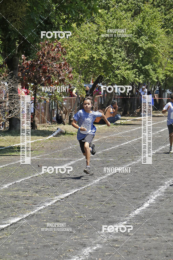 Compre as suas fotos do eventoGonzaguinha Kids 2019 no Fotop