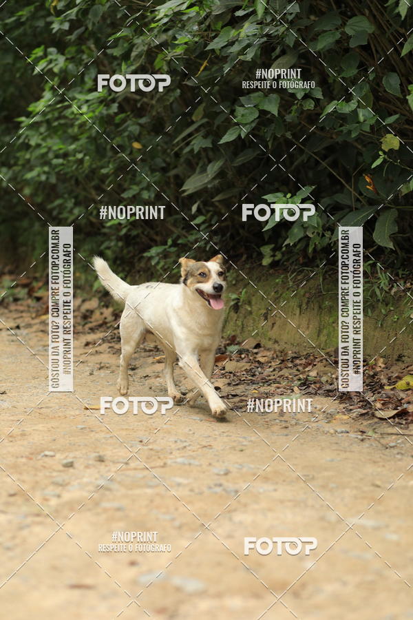 Buy your photos of the eventO REI DA MONTANHA - TRAIL MARATHON on Fotop