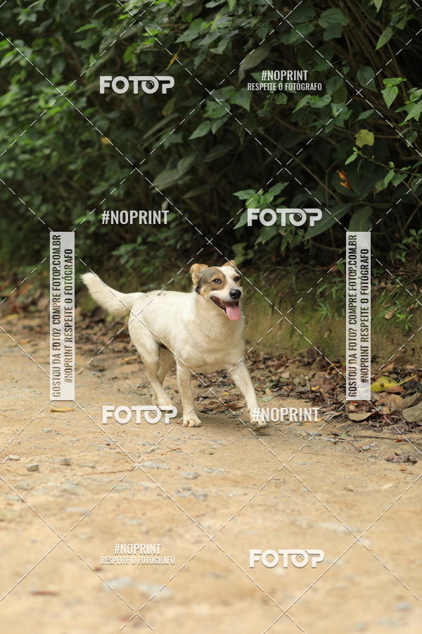 Buy your photos of the eventO REI DA MONTANHA - TRAIL MARATHON on Fotop