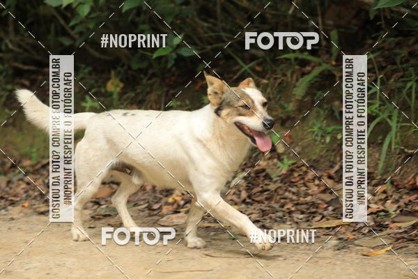 Buy your photos of the eventO REI DA MONTANHA - TRAIL MARATHON on Fotop