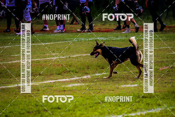 Compre suas fotos do eventoFUTEBOL AMERICANO LIGA BFA  SO PAULO STORM X TRITES VILA VELHA  no Fotop