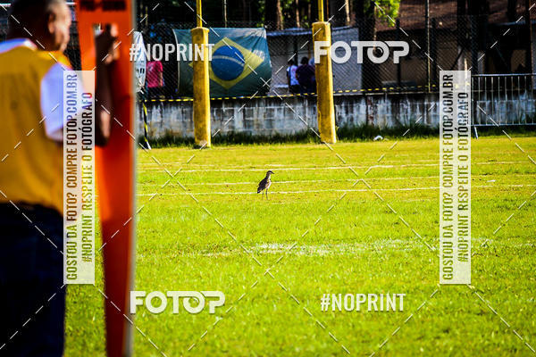 Compre suas fotos do eventoFUTEBOL AMERICANO LIGA BFA  SO PAULO STORM X TRITES VILA VELHA  no Fotop