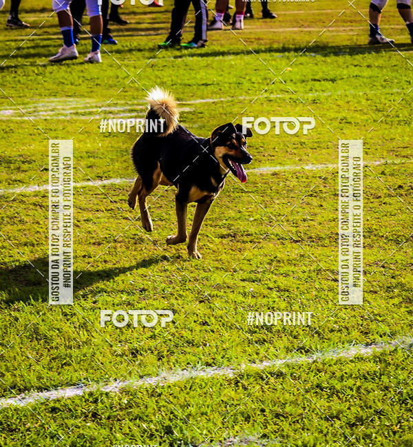 Compre suas fotos do eventoFUTEBOL AMERICANO LIGA BFA  SO PAULO STORM X TRITES VILA VELHA  no Fotop