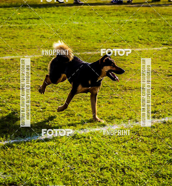 Compre suas fotos do eventoFUTEBOL AMERICANO LIGA BFA  SO PAULO STORM X TRITES VILA VELHA  no Fotop