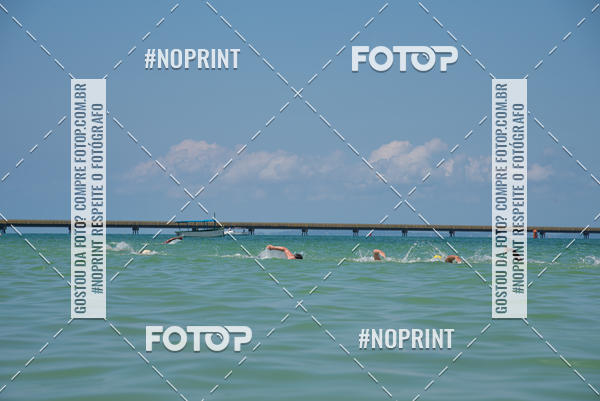 Buy your photos of the event7� Etapa Maratonas Aqu�ticas Adulto FBDA on Fotop
