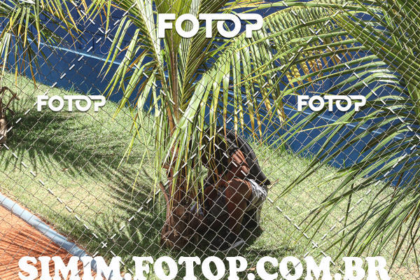 Buy your photos of the eventDECATHLON OPEN DE TENIS BH NORTE on Fotop