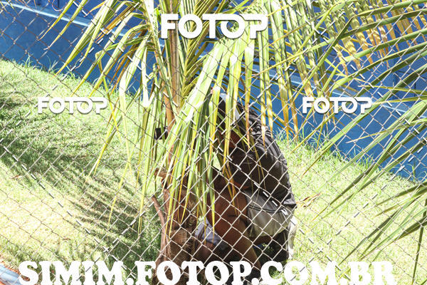 Buy your photos of the eventDECATHLON OPEN DE TENIS BH NORTE on Fotop