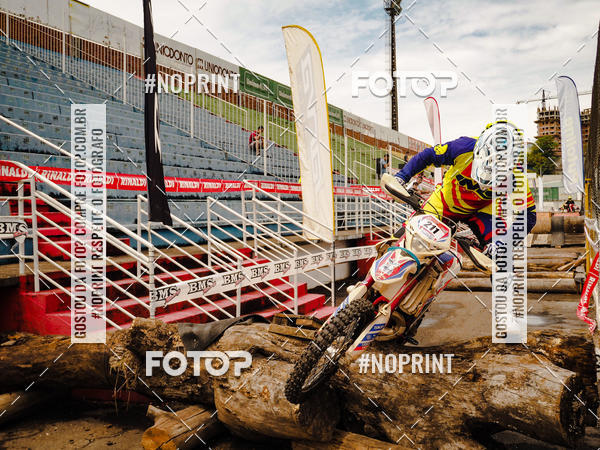 Buy your photos of the eventKing OFF Jungle 2019 on Fotop