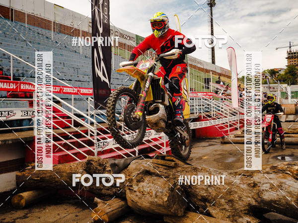 Buy your photos of the eventKing OFF Jungle 2019 on Fotop