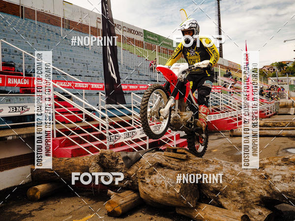 Buy your photos of the eventKing OFF Jungle 2019 on Fotop