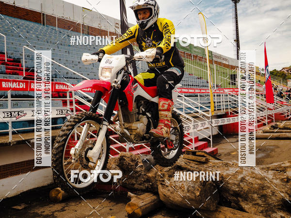 Buy your photos of the eventKing OFF Jungle 2019 on Fotop