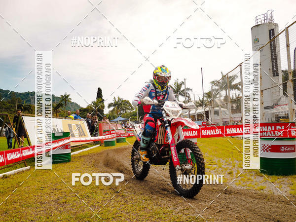 Buy your photos of the eventKing OFF Jungle 2019 on Fotop