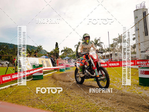 Buy your photos of the eventKing OFF Jungle 2019 on Fotop