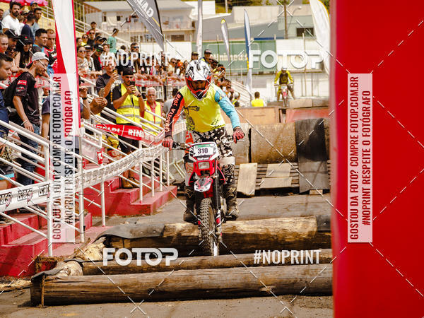 Buy your photos of the eventKing OFF Jungle 2019 on Fotop