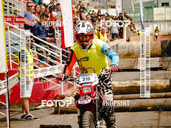 Buy your photos of the eventKing OFF Jungle 2019 on Fotop