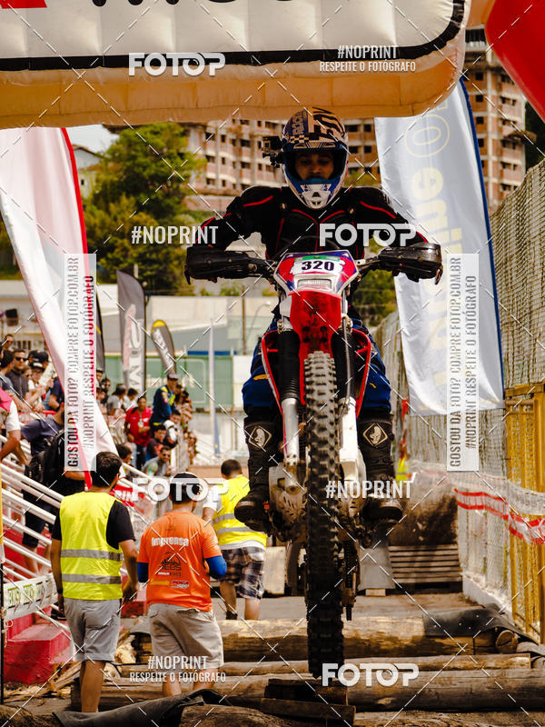 Buy your photos of the eventKing OFF Jungle 2019 on Fotop