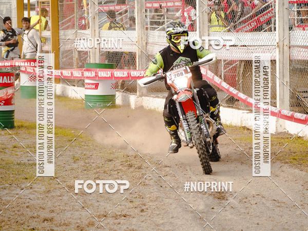 Buy your photos of the eventKing OFF Jungle 2019 on Fotop