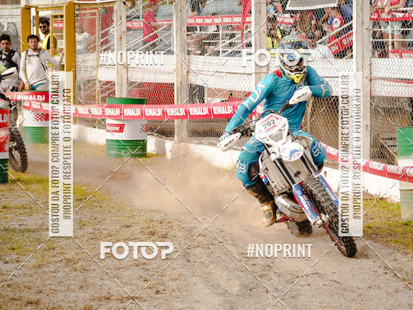 Buy your photos of the eventKing OFF Jungle 2019 on Fotop