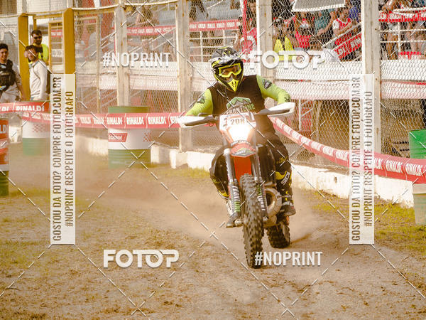 Buy your photos of the eventKing OFF Jungle 2019 on Fotop