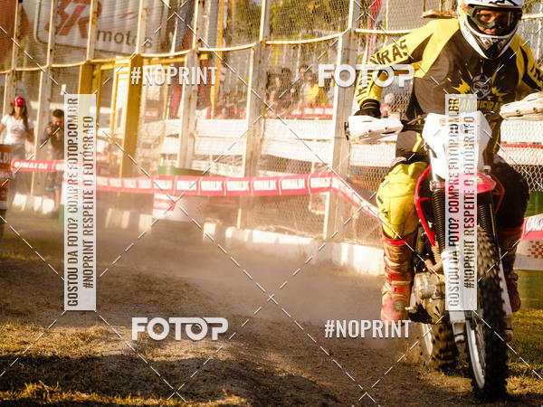 Buy your photos of the eventKing OFF Jungle 2019 on Fotop