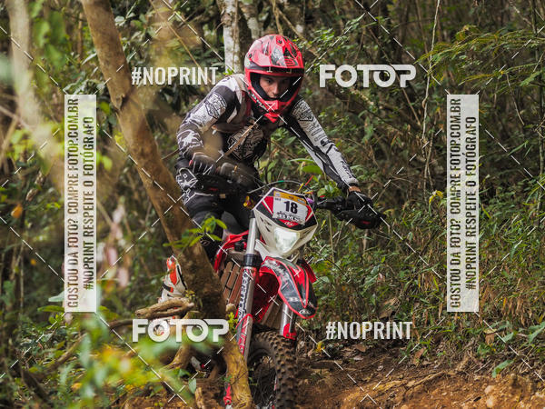 Buy your photos of the eventKing OFF Jungle 2019 on Fotop