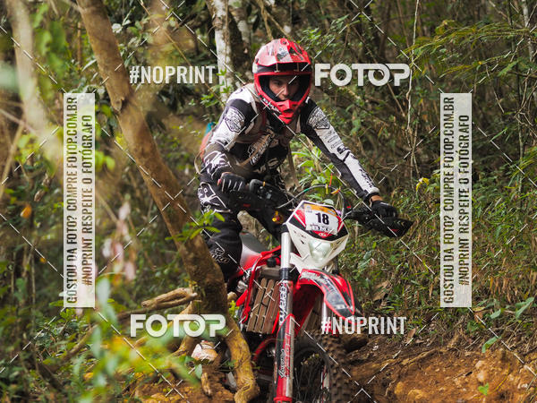 Buy your photos of the eventKing OFF Jungle 2019 on Fotop