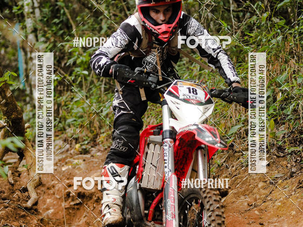 Buy your photos of the eventKing OFF Jungle 2019 on Fotop