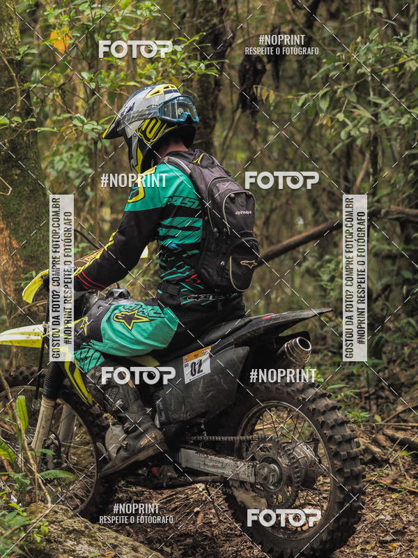 Buy your photos of the eventKing OFF Jungle 2019 on Fotop