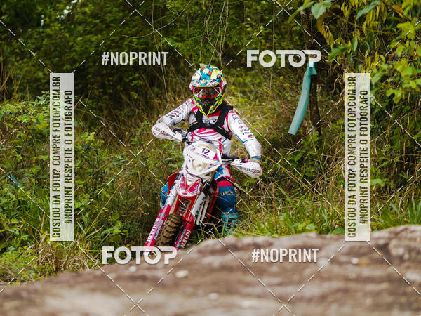 Buy your photos of the eventKing OFF Jungle 2019 on Fotop