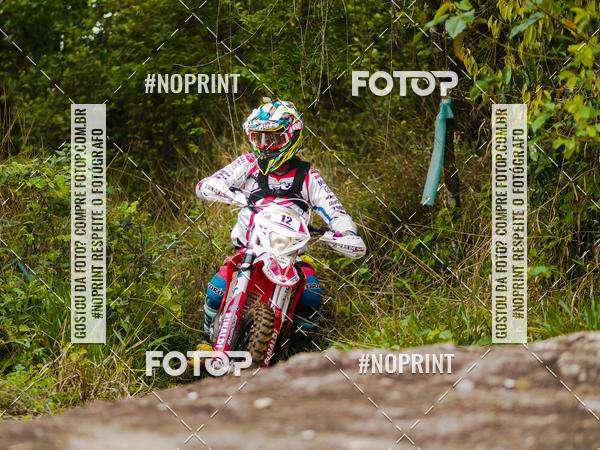 Buy your photos of the eventKing OFF Jungle 2019 on Fotop