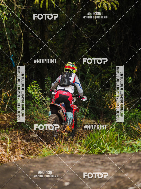 Buy your photos of the eventKing OFF Jungle 2019 on Fotop