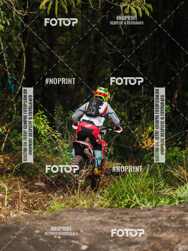 Buy your photos of the eventKing OFF Jungle 2019 on Fotop