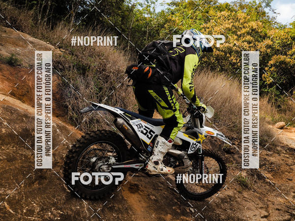 Buy your photos of the eventKing OFF Jungle 2019 on Fotop