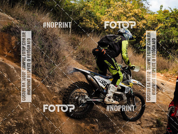 Buy your photos of the eventKing OFF Jungle 2019 on Fotop