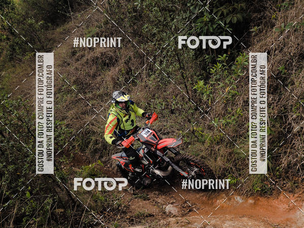 Buy your photos of the eventKing OFF Jungle 2019 on Fotop