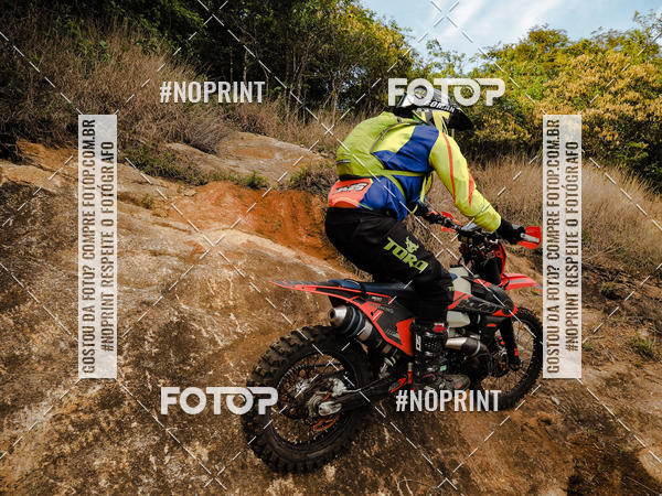 Buy your photos of the eventKing OFF Jungle 2019 on Fotop