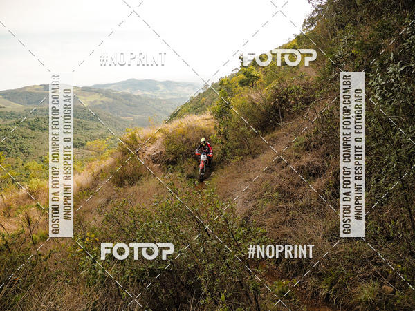 Buy your photos of the eventKing OFF Jungle 2019 on Fotop