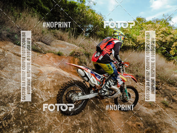 Buy your photos of the eventKing OFF Jungle 2019 on Fotop