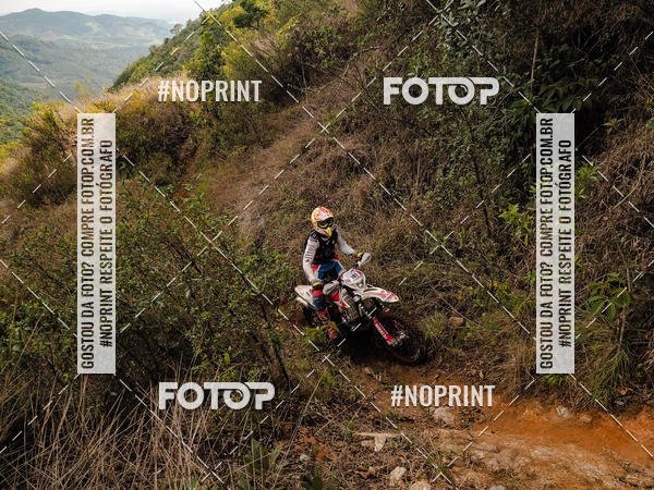 Buy your photos of the eventKing OFF Jungle 2019 on Fotop